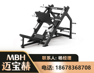 安庆45°倒蹬训练器